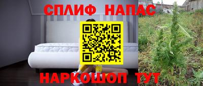 PSILOCYBIN Гагарин