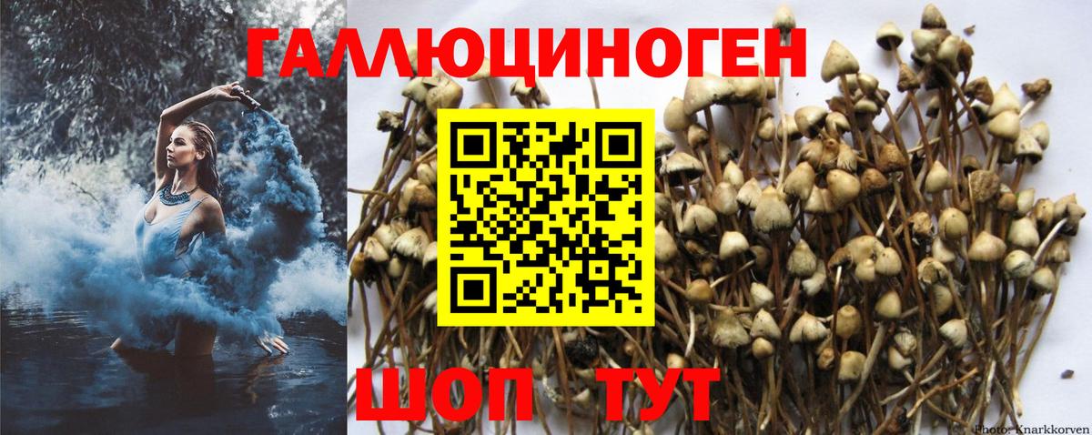 Псилоцибиновые грибы прущие грибы Нефтекамск