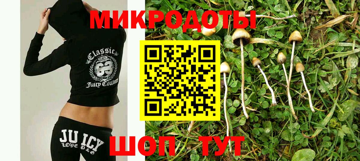 Псилоцибиновые грибы Psilocybe  купить наркотики сайты  Нефтекамск  Вход с VPN 
